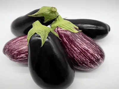 Aubergine