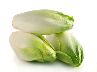 Belgian Endive