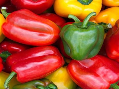 Capsicum