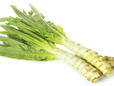 Celtuce