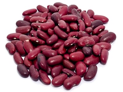 Common Bean