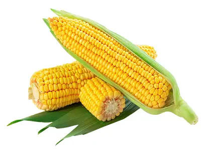 Corn