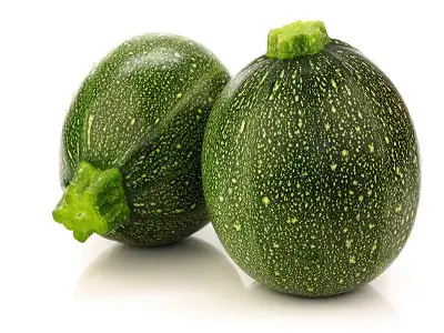 Gem Squash