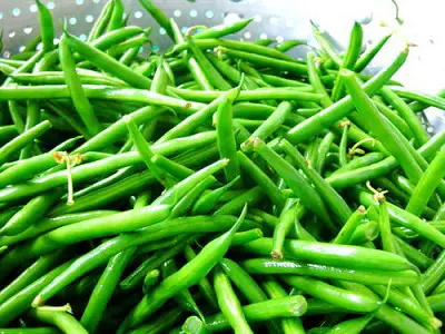 Green Beans