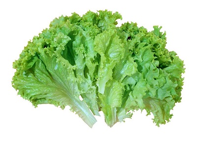 Leaf Lettuce