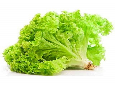 Lettuce