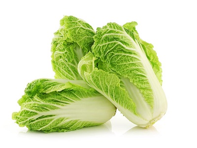 Napa Cabbage