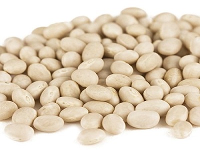 Navy Bean