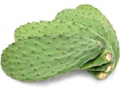 Nopales