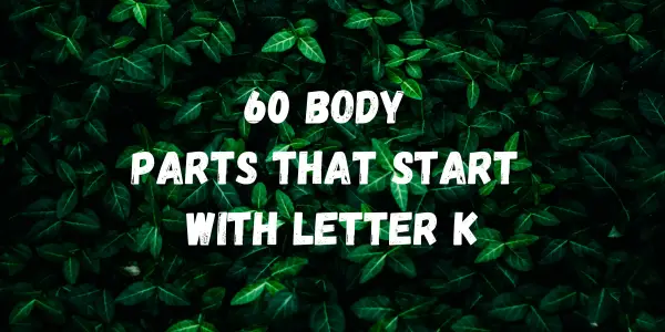 body parts That Start With Letter k