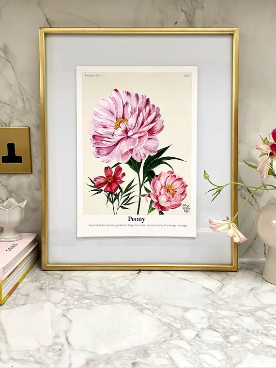 Peony Flower Meaning